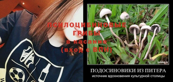 ECSTASY Гусиноозёрск
