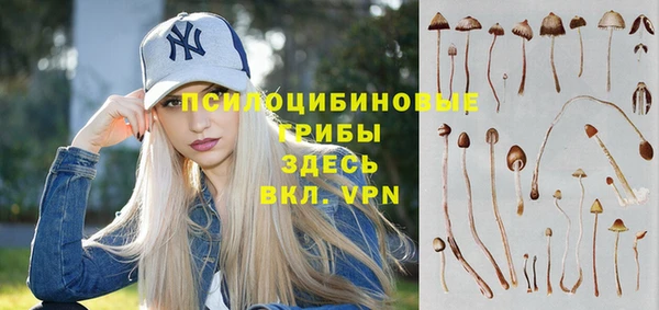 гашишное масло Гусь-Хрустальный