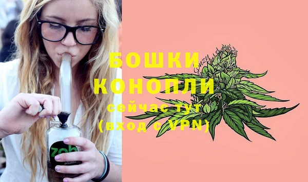 ECSTASY Гусиноозёрск